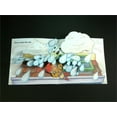 thumbnail image 4 of Itsy Bitsy Spider By Richard Egielski, 4 of 4