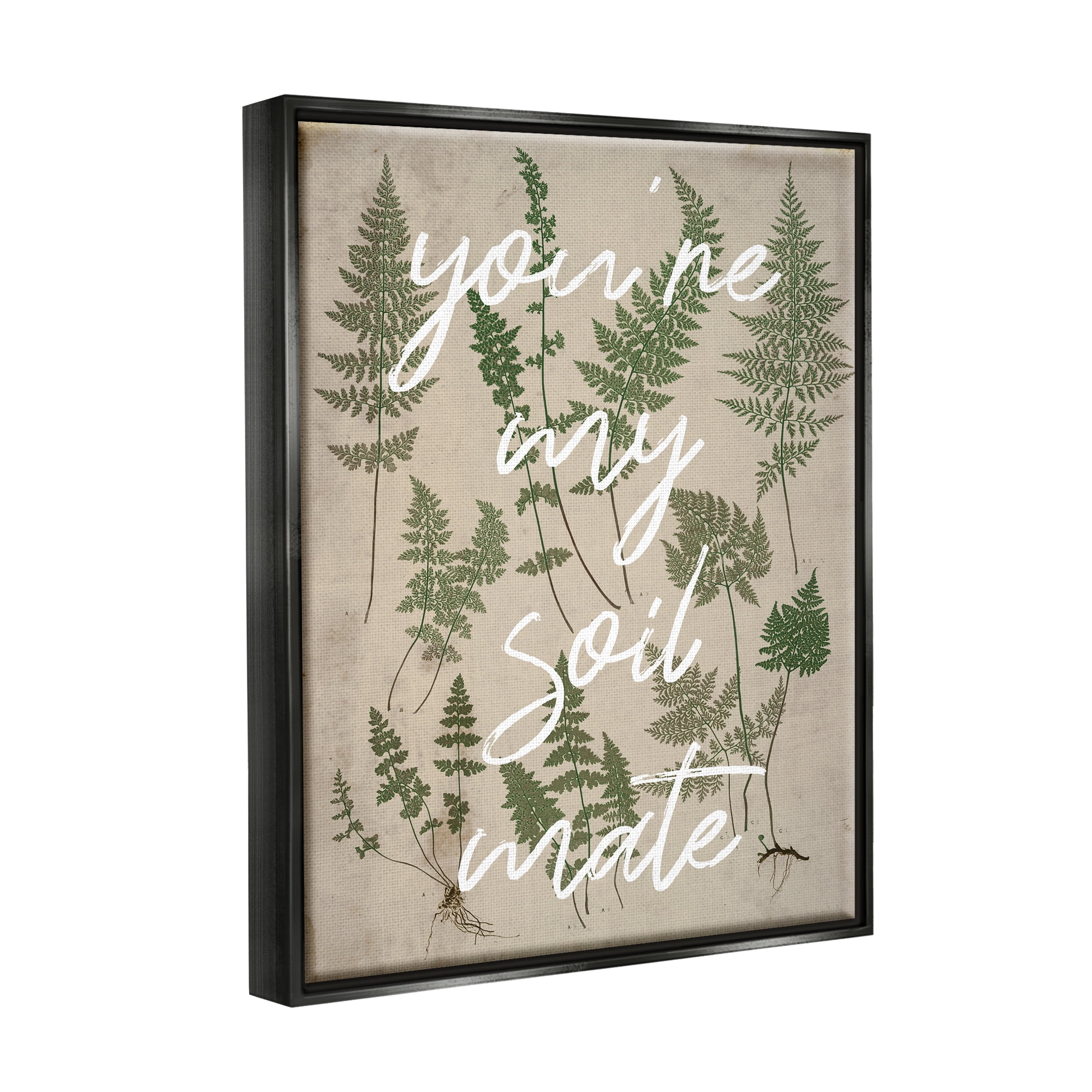 Stupell Industries You're My Soil Mate Rustic Fern Motif Calligraphy Jet Black Framed Floating Canvas Wall Art, 16x20, by Lil' Rue