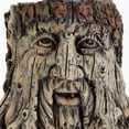 thumbnail image 3 of Bits and Pieces - Tree Face Planter - Polyresin Indoor/Outdoor Urn, 3 of 7