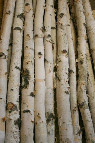 White Birch Pole 6ft Walmart Com