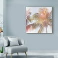 thumbnail image 3 of Trademark Fine Art 'Dream Palm III Beach Days' Canvas Art by Sue Schlabach, 3 of 3
