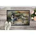 thumbnail image 6 of Carolines Treasures DAC3194JMAT 24 x 36 in. Unisex Bufflehead Doormat, 6 of 6