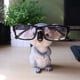 thumbnail image 2 of Naiovety Lindo Animal soporte para gafas estante divertido Koala gafas de sol soporte de exhibición tamaño resina encantadora decoración Decoración del hogar, 2 of 6