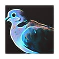 thumbnail image 2 of Mourning Dove Reverie - Canvas, 2 of 25