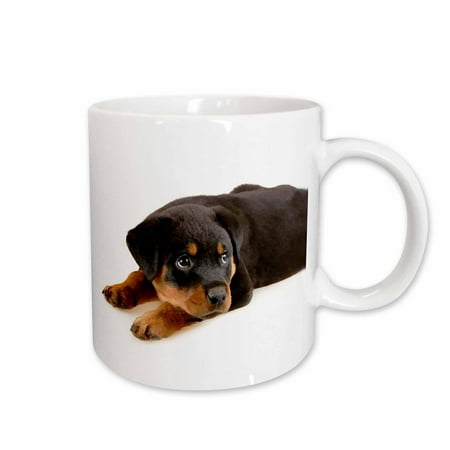 

3dRose Rottweiler puppy - Ceramic Mug 15-ounce