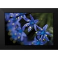 thumbnail image 2 of Berzel, Erin 24x17 Black Modern Framed Museum Art Print Titled - Purple Bloom Detail, 2 of 5