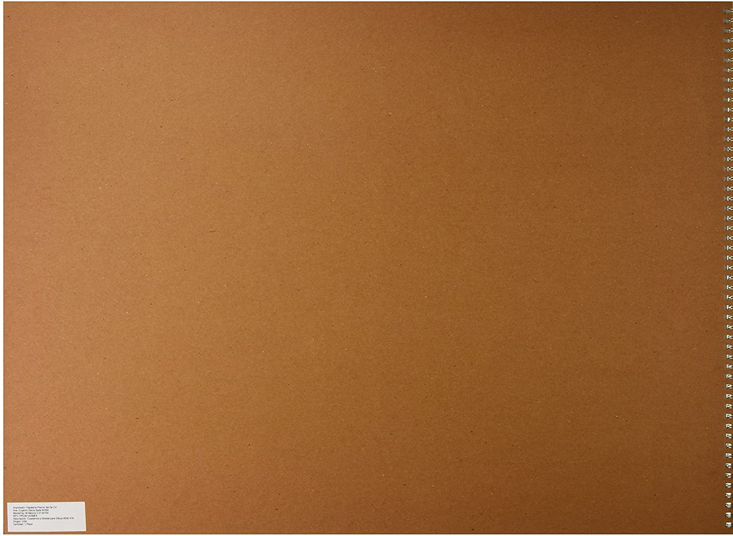 Strathmore Drawing Paper Pad, 300 Series, Spiral-Bound 25 Sheets/Pad, 18in x 24in