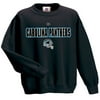 NFL - Big Men's Carolina Panthers Sweatshirt