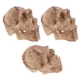 thumbnail image 1 of WHAMVOX 3pcs Skull for Terrarium Resin Decoration for Snake and Tortoise, 1 of 8