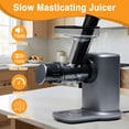thumbnail image 2 of Gianna Cold Press Juicer, Slow Masticating Juicer Machines with Extra Wide Feed Chute, High Juice Yield and Easy to Clean for Whole Vegetables & Fruits, 2 of 6