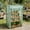 Green, variant on Portable Mini Greenhouse | Small Walk-In Tent for Indoor & Outdoor Use | Frost & Wind Cover for Herbs Flowers On Patio Balcony Deck or Garden