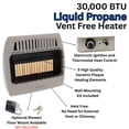 thumbnail image 3 of World Marketing of America KWP524 Wall Heater Infrared 5-Plaq Lp 30K with Thermostat, 3 of 14