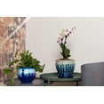 thumbnail image 5 of rePotme 6 inch Self Watering Pot - Aqua Core Collection (Blizzard Blue), 5 of 5