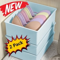 2 Pcs Storage Bins with Lids Small Plastic Storage Containers Stackable Storing Home Underwear Storage Box, Drawer Divider Compartment for Bras, Panties, & Socks, Closet Clothing Organizer, Blue