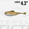 thumbnail image 4 of 6th Sense – Masterclass Fiction – Shad Soft Plastic Swimbait – Realistic Baitfish Profile – Multiple Bass Fishing Lure, 4 of 4