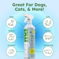 thumbnail image 5 of Flea & Tick Starter Kit, 3.7 oz. Concentrated Indoor/Outdoor Flea and Tick Insect Killer Spray (2-Pack), 5 of 5