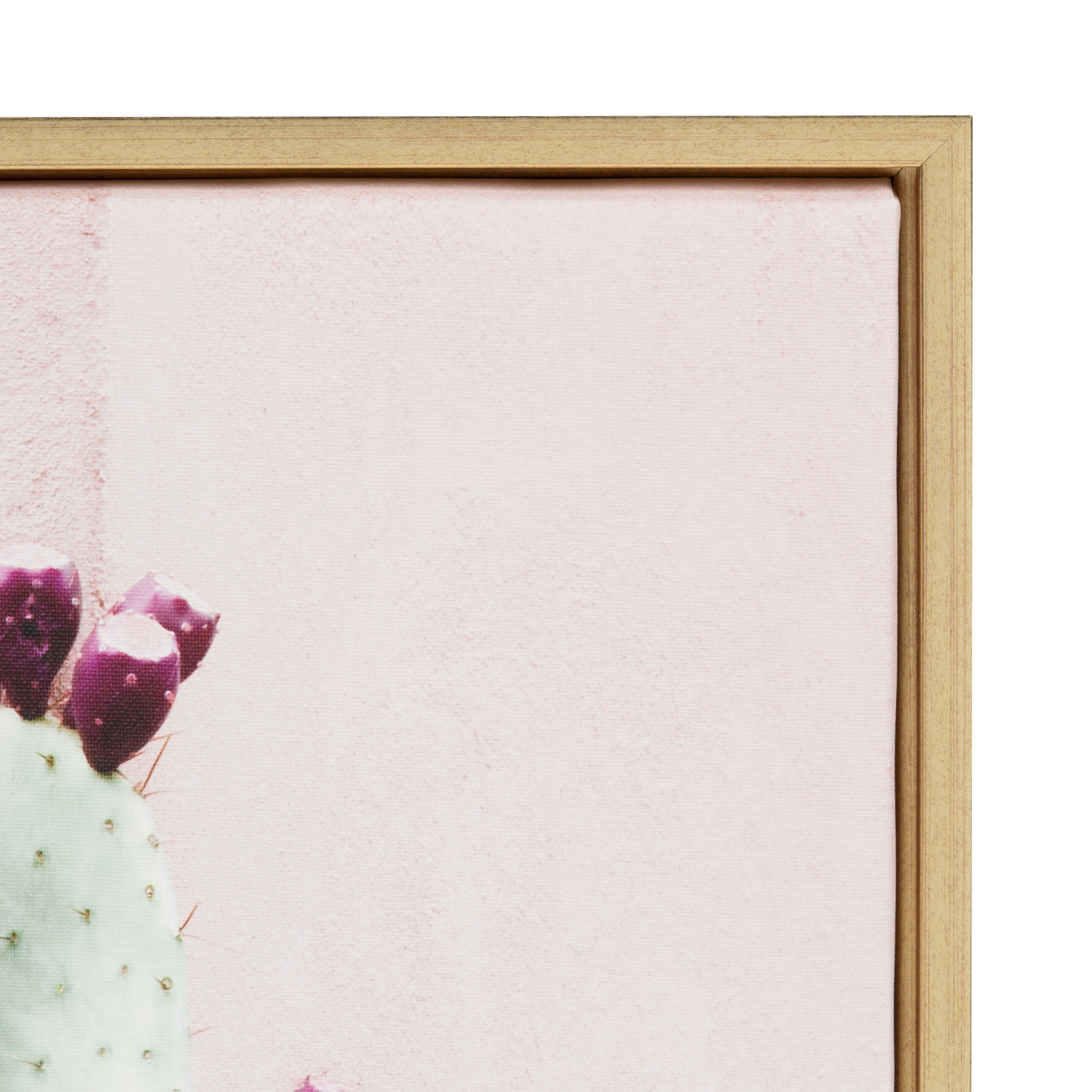 Kate and Laurel Sylvie Cactus 25 Framed Canvas Wall Art by Amy Peterson, 18x24 Gold