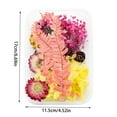 thumbnail image 3 of TIELUTT 1 Vraie Fleur Séchée Garnitures en Résine Fleurs en Pot Fleurs d'Automne Fleur Suspendue pour Extérieur Choux Roses Fleurs Fleurs pour Extérieur, 3 of 6