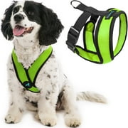 Gooby Comfort X Head-In Harness - Green, Medium - Breathable, Lightweight, Wrinkle Free Mesh Harness with Patented Choke-Free X Frame for Small Dog and Medium Dog Indoor and Outdoor use