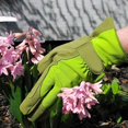 thumbnail image 4 of 1 par de guantes de jardinería para mujer Camel, protectores de manos con protección contra espinas y pinchazos, 4 of 5