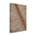 thumbnail image 2 of Trademark Fine Art Pictufy Studio Feather Canvas Wall Art, 2 of 4