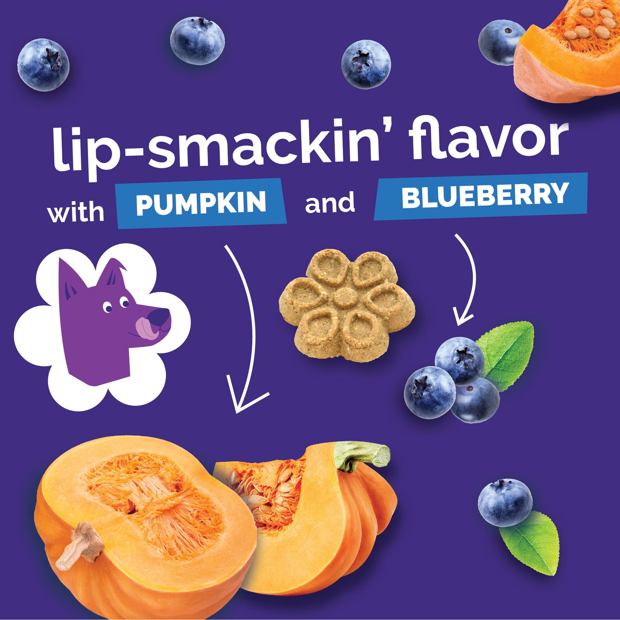 Fruitables Biggies Pumpkin & Blueberry Treats for Dogs - 16 Ounces