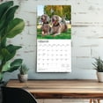 thumbnail image 5 of Weimaraners | 2026 12x24" (Hanging) Wall Calendar | Plastic-Free | BrownTrout, 5 of 9