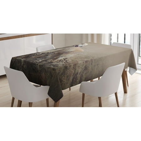 

Animal Tablecloth White Wolf on Rocks at the Night Hazy Misty Weather Wildlife Nature Scenery Rectangular Table Cover for Dining Room Kitchen 52 X 70 Inches Tan White Grey by Ambesonne