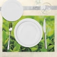 thumbnail image 2 of Ambesonne Plant Place Mats Set of 4, Macro Green Leaves, Standard Size, Apple Green, 2 of 5