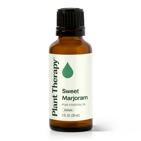 Plant Therapy Marjoram Sweet Essential Oil 100% Pure, Undiluted, Natural Aromatherapy, Therapeutic Grade 30 mL (1 oz)