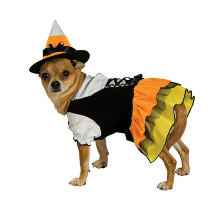 Candy Corn Witch Dog Halloween Costume - X-Small