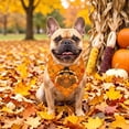 thumbnail image 4 of Fall Dog Bandanas, Thanksgiving Pet Bibs, 16''x24'' Pumpkin Maple Leaves Triangle Scarf, Washable Pet Kerchief Costume Accessories Grooming Supplies, 4 of 6