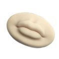 thumbnail image 1 of sweethay Práctica de maquillaje permanente 3D Labio artificial Adhesivo para principiantes Accesorios de enseñanza de la piel Suministros de Type2 NO2, 1 of 6