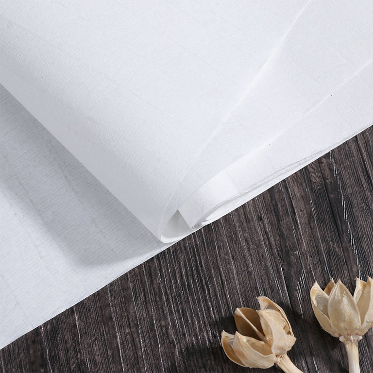 HAKZEON 400 Sheets 13.6 x 27.2 Inches Xuan Paper, Raw Sheng Xuan Writing Sumi Drawing Sheet Rice Paper Without Grids for Chinese Japanese