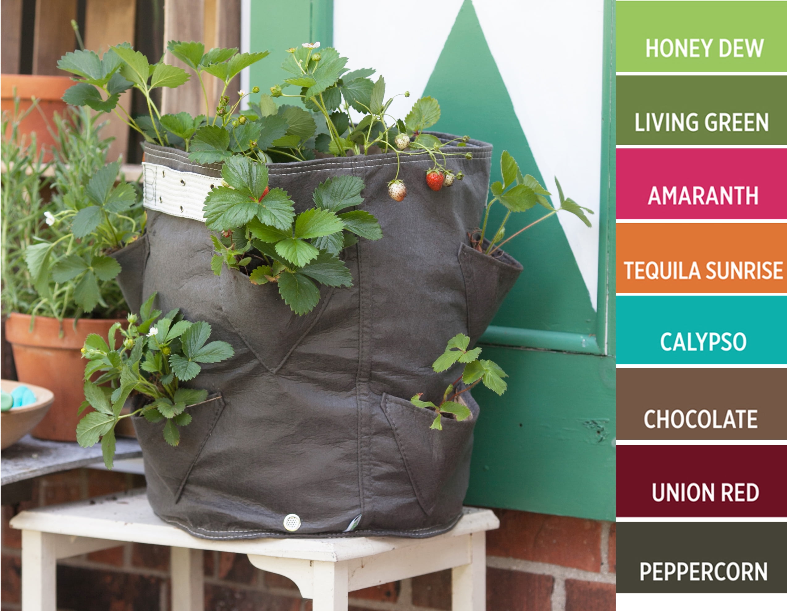 BloemBagz Strawberry Planter Grow Bag 9 Gallon Chocolate