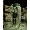 thumbnail image 1 of Andreas H. Bitesnich India, 1 of 3