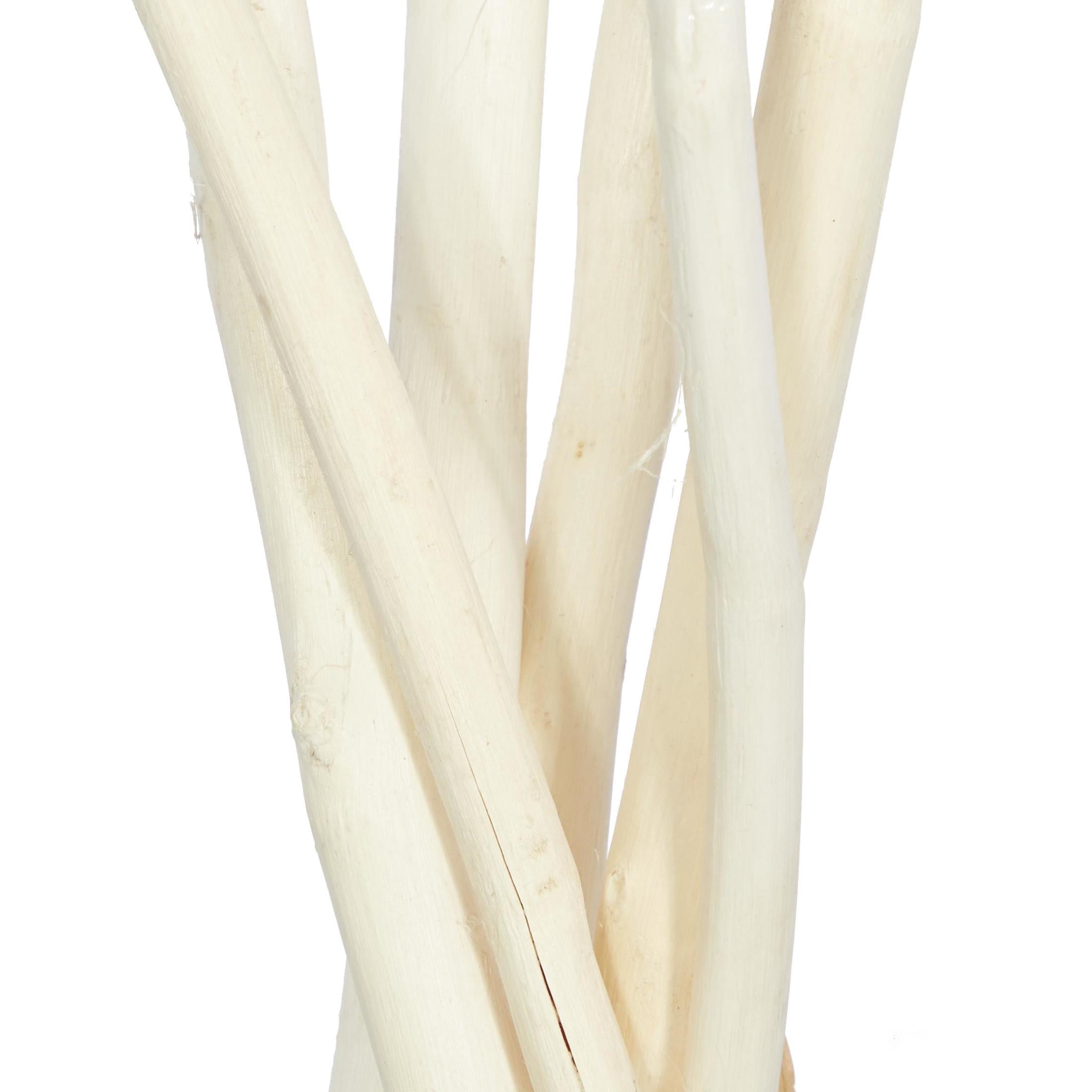 60" Tall Sticks Dried Plant Natural Foliage Pampas Grass Bouquet, by DecMode (2 Count)