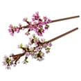 thumbnail image 3 of Set Botanicals Flores de Cerezo 40725, 3 of 4