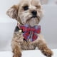 thumbnail image 3 of Collar para perros y gatos con pajarita de rejilla, collar ajustable a cuadros para perros y gatos Namotu CPB-US-YY702-5, 3 of 5