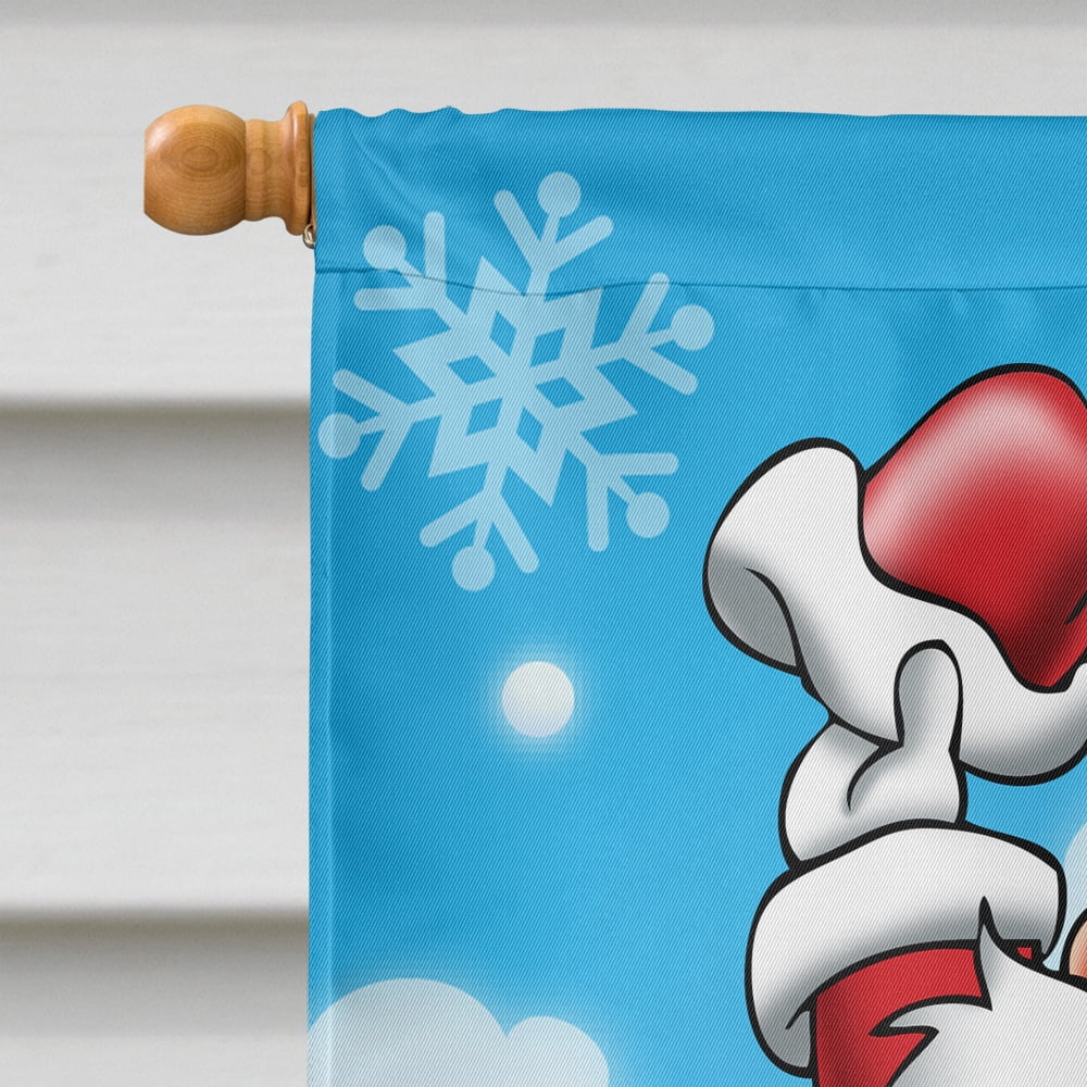 Christmas Santa Claus Snowboarding Flag Canvas House Size