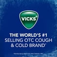 thumbnail image 6 of Vicks VapoCOOL WinterFrost Drops, 200 Drops, 6 of 10