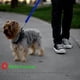thumbnail image 4 of Worallymy cinturón de seguridad ajustable para mascotas arnés de tela de nailon para vehículos correa de viaje para mascotas Worallymy JD735808257, 4 of 6