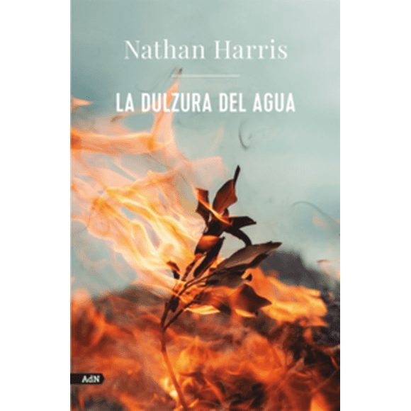 LA DULZURA DEL AGUA ALIANZA DE NOVELA Pasta Blanda