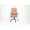 Camel, variant on Jopath Leather Office Chair,High Back Office Chair with Spring Seat Cushion,Ergonomic Swivel Computer Chair ome Office Chair for Home Office,Black