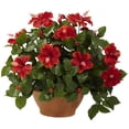thumbnail image 1 of Hibiscus with Clay Planter, 1 of 1
