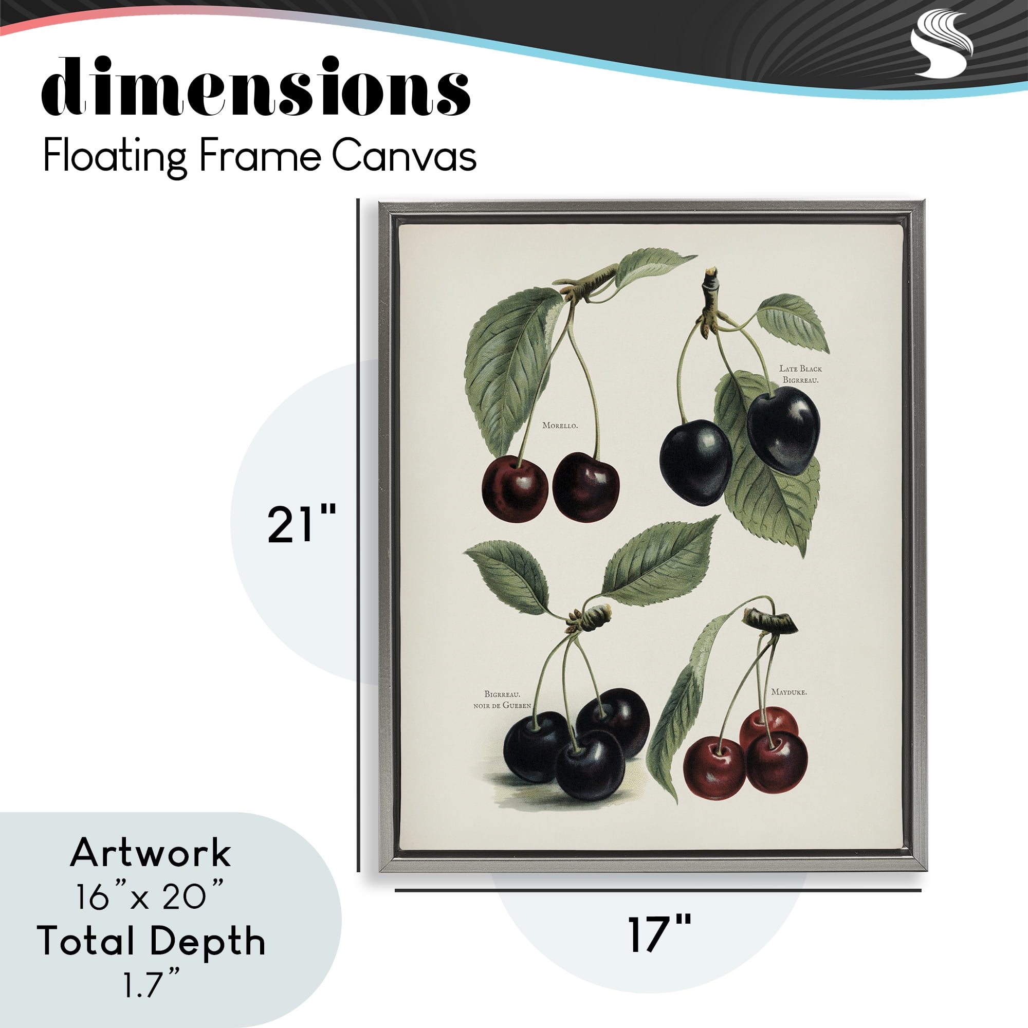 Natural Detailed Cherry Studies Gray Framed Floater Canvas Wall Art, design by Lettered and Lined