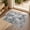 Dark Gray, variant on MICGEEK 2'x3' Abstract Area Rugs, Stain Resistant Washable Throw Rugs for Entrance Entryway, Modern Small Area Rug Front Door Mat Entrance Doormat with Non-Slip Backing, Brown