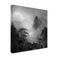 thumbnail image 4 of Canvas Wall Art - Guoji  'Huang Shan In The Fog' Wall Art for Living Room, Bedroom, or Office Décor by Trademark Fine Art - 24 x 24 Inches, 4 of 4