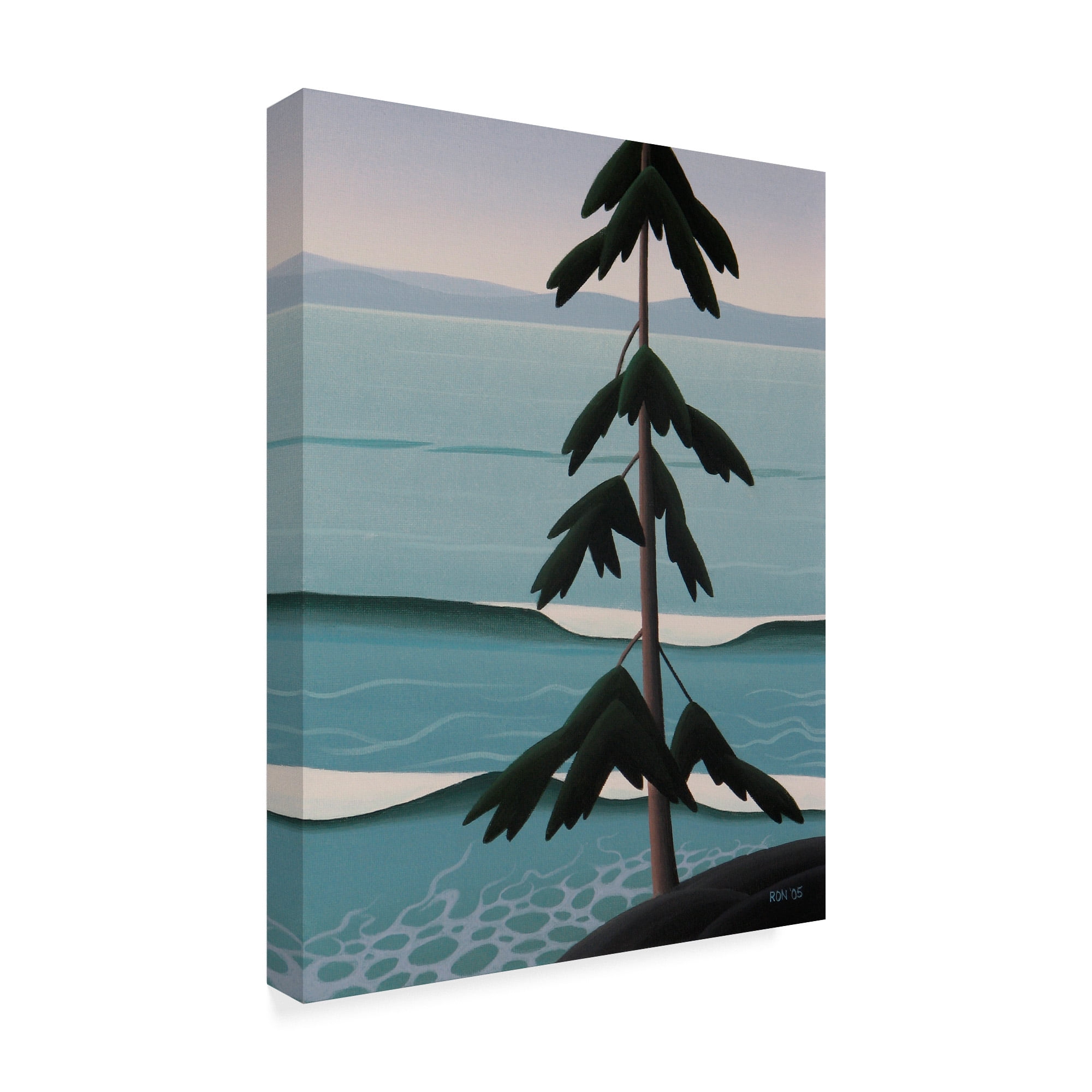 Trademark Fine Art 'Above The Surf' Canvas Art by Ron Parker