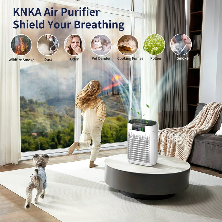 Free Shipping! KNKA Air Purifier for Large Rooms up to 2500 sq ft